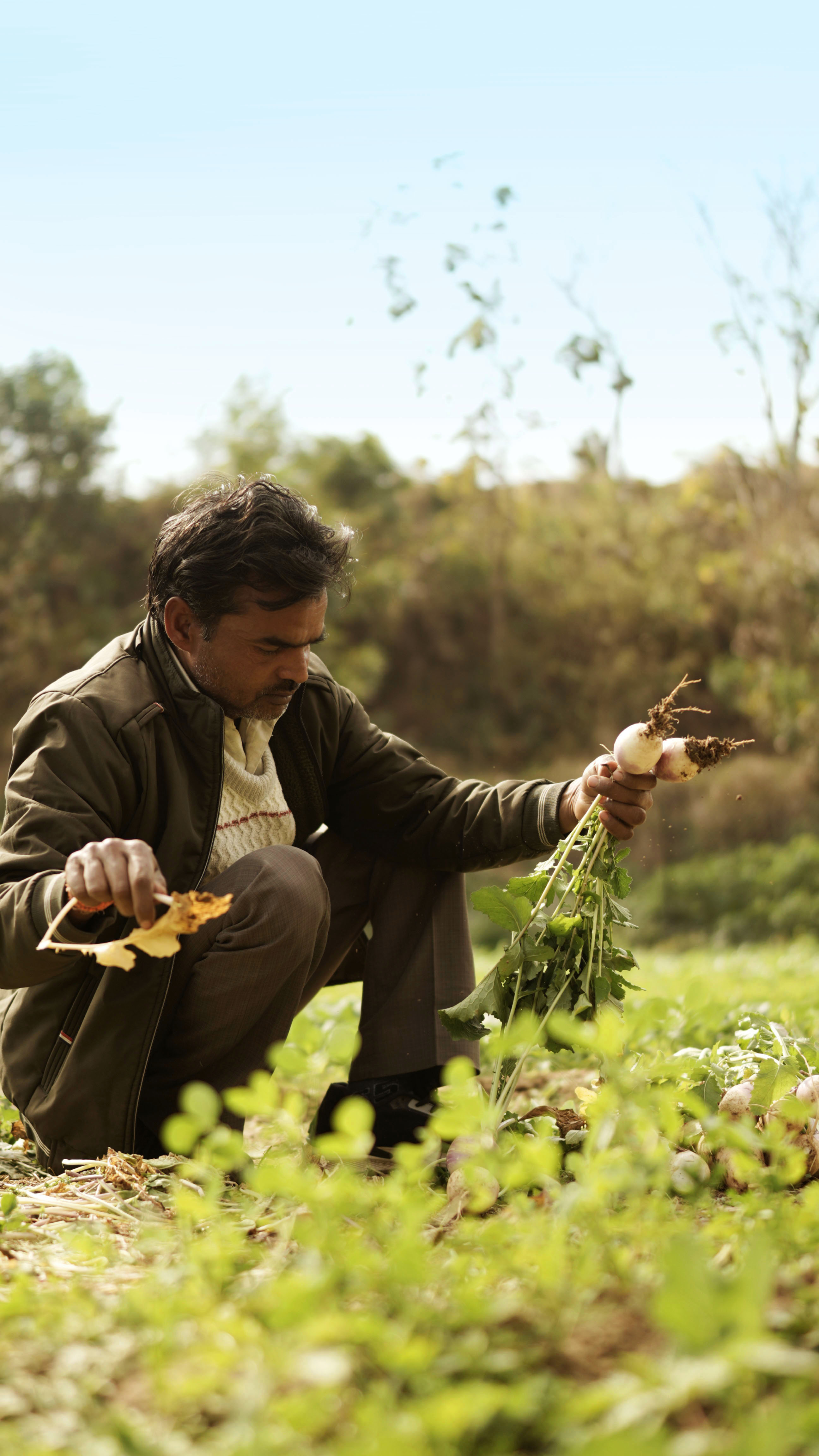 Organic farming at VVAC